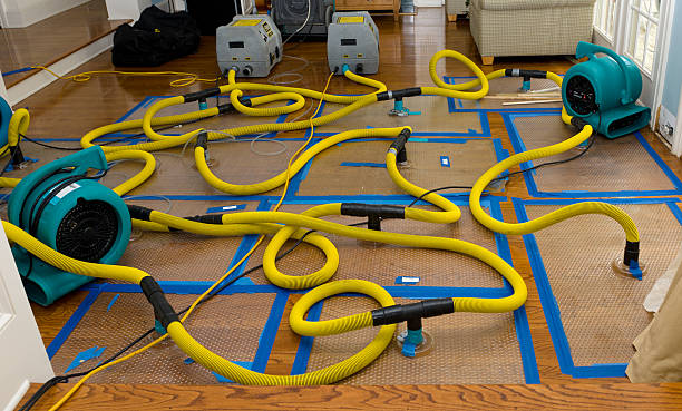 Professional Sewage Cleanup technician working in Grantham, NH